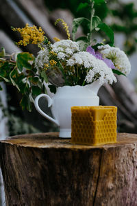 Close-up of potted plant