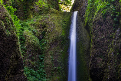 Scenic view of waterfall in forest