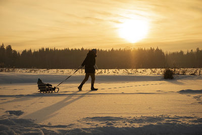 Father is pulling child on sled walking on frosty winter day outdoors. beautiful evening sunlight.