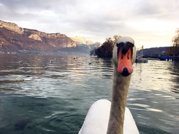 Close-up of man in lake against sky