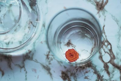 High angle view of insect in glass jar