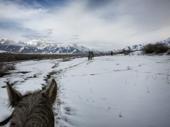 Scenic view of snow covered landscape