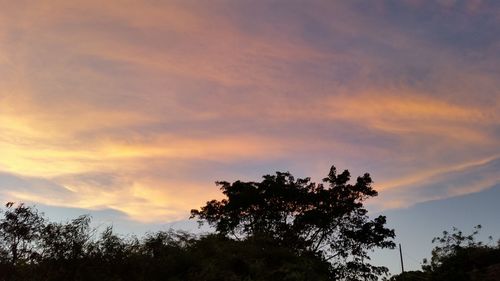 Low angle view of silhouette trees against sky at sunset