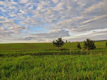 Scenic view of field against cloudy sky