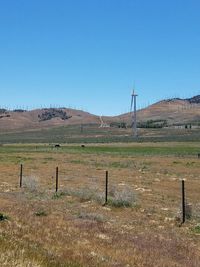 Scenic view of field against clear blue sky