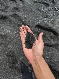 High angle view of person hand holding wet sand