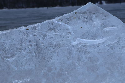 Close-up of frozen ice