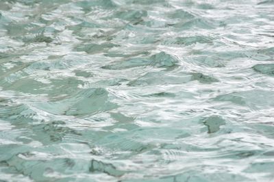 High angle view of swimming pool in sea