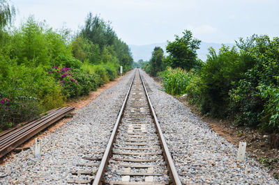 Railway tracks amidst trees against sky