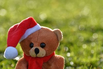 Close-up of stuffed toy