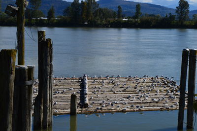 Pier on lake against sky