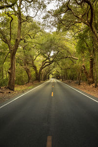 Empty road along trees