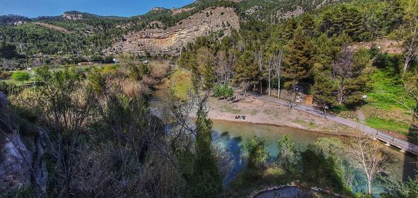 Scenic view of river amidst trees