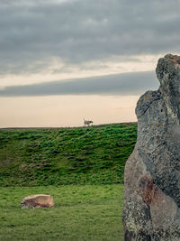 Scenic view of field against sky during sunset