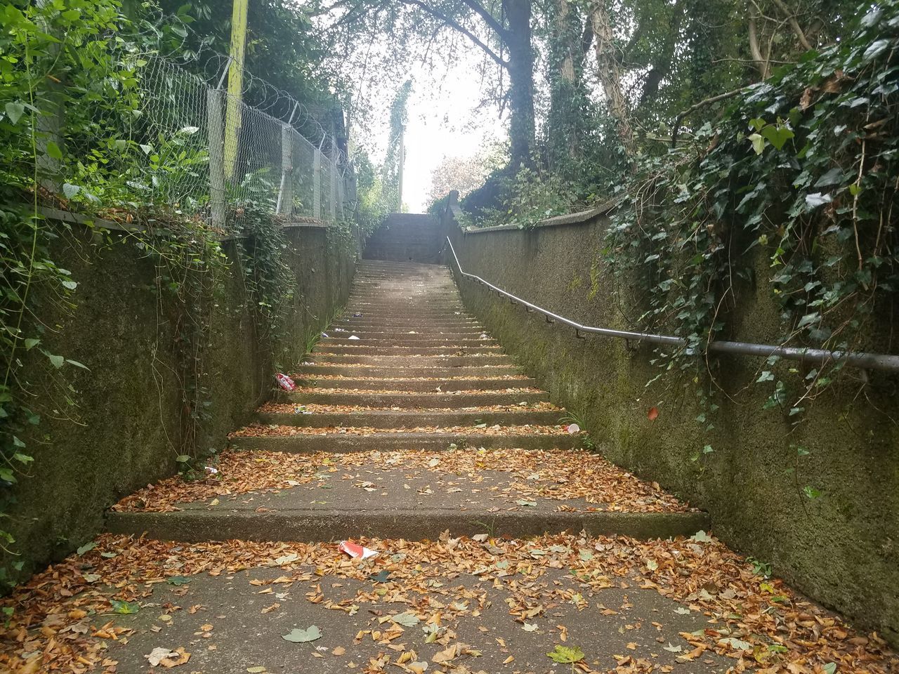 SUNLIGHT FALLING ON FOOTPATH AMIDST TREES IN AUTUMN