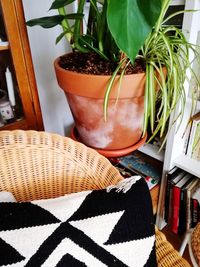 High angle view of potted plant on table