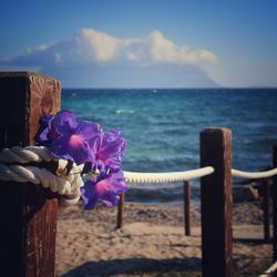 Close-up of wooden post by sea against sky