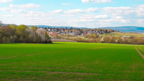 Scenic view of landscape against sky