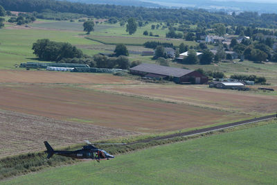 Scenic view of agricultural field