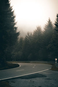 Empty road by trees against sky in city