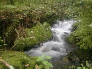 Scenic view of waterfall