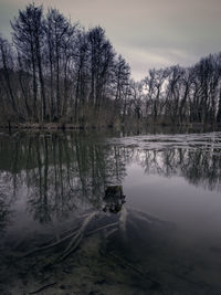 Scenic view of lake against sky during winter