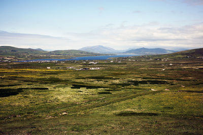 Scenic view of field against sky