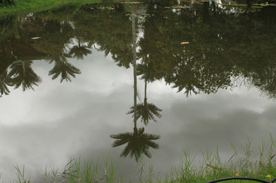 Reflection of trees in lake against sky