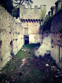 Brick wall of old building