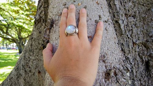 Close-up of hand on tree trunk