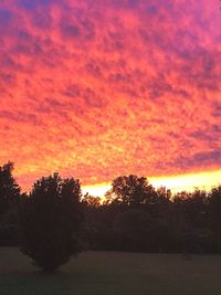 Silhouette trees on field against romantic sky at sunset