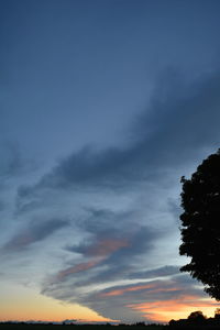 Low angle view of silhouette trees against sky during sunset