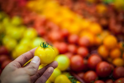 Close-up of hand holding yellow tomato