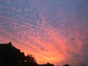 Low angle view of silhouette trees against sky at sunset