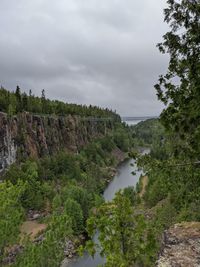 Scenic view of river amidst trees against sky