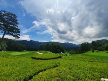 Scenic view of landscape against sky