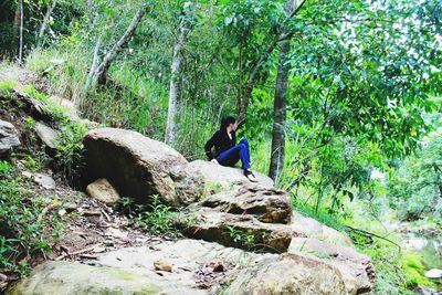 Rock formations in forest