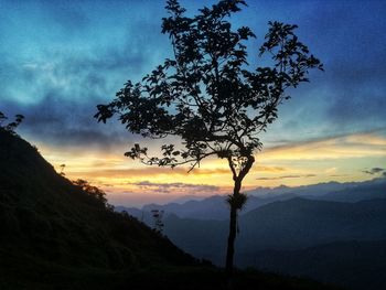 Silhouette tree on mountain against sky during sunset