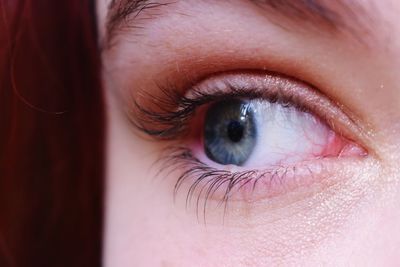 Close-up of human eye