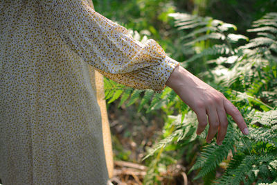 Close-up of woman hand holding plant