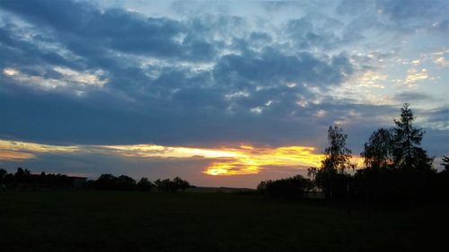 Silhouette trees on field against sky at sunset