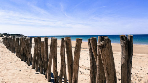 Panoramic view of wooden posts on beach against sky