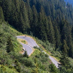 High angle view of winding road amidst trees in forest