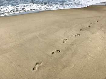 High angle view of footprints on sand at beach