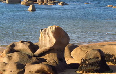 Rocks by lake on sunny day