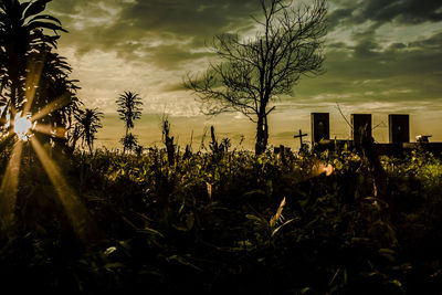 Silhouette plants on field against storm clouds