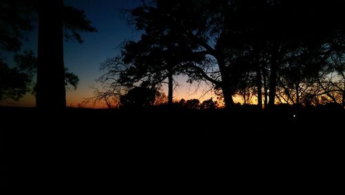 Silhouette trees on landscape at sunset