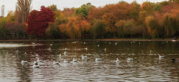 Scenic view of calm lake