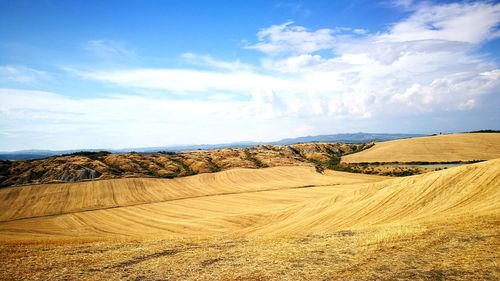 Scenic view of agricultural field against sky