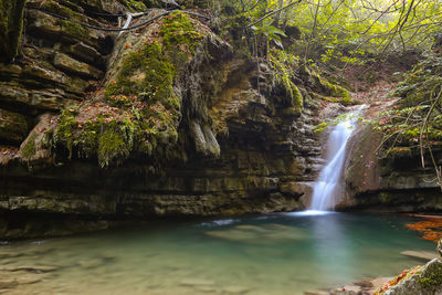 Scenic view of waterfall in forest